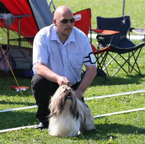 Shih Tzu Danmark